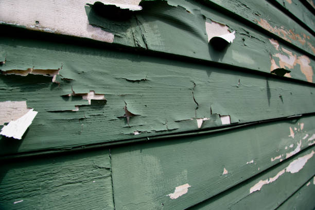 Professional Siding Installation & Repair in Rancho Santa Margarita, CA